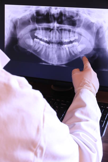 Best Emergency X-Rays and Diagnostics in West Pensacola, FL